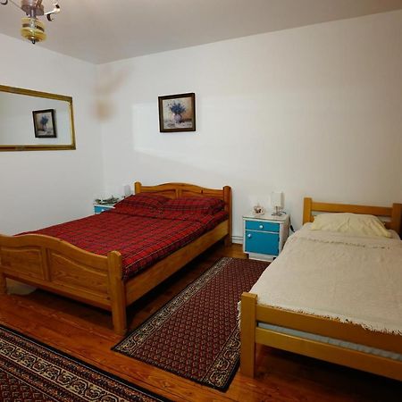 Apartman Carpe Diem Zaječar Exterior foto